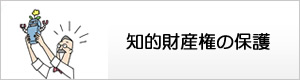 知的財産権の保護