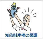 知的財産権の保護